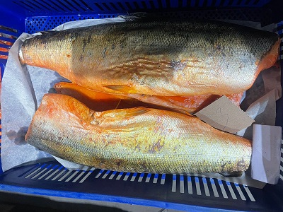 Семга холодного копчения, мякоть на коже ~ 1.5 — 2 кг в шт